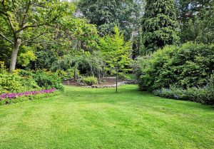 Optimiser l'expérience du jardin à Cardet