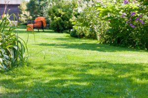 travaux jardin et paysage Cardet